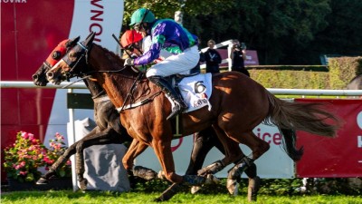 135. Velká pardubická se Slavia pojišťovnou: Doprava, parkování a další informace přehledně