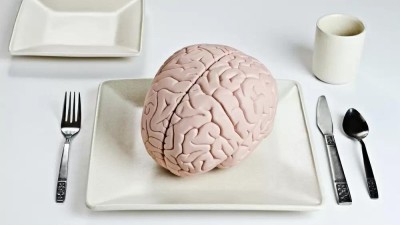Vhodné složení stravy udržuje mozek ve formě