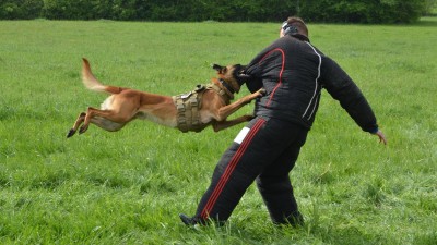 Putovní pohár pro policejní kynology tentokrát zamířil do Svitav