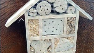 Děti v&nbsp;pardubick&yacute;ch mateřsk&yacute;ch &scaron;kol&aacute;ch budou moc pozorovat život hmyzu v&nbsp;domečk&aacute;ch