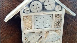 Děti v pardubických mateřských školách budou moc pozorovat život hmyzu v domečkách