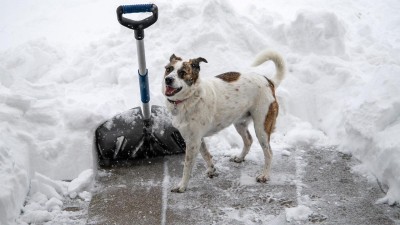 Meteorologové vydali výstrahu před sněhovými jazyky. Budou se tvořit zejména na horách, kde napadne až půl metru sněhu