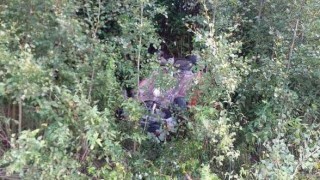 Obrazem: Auto havarovalo, vylétlo ze silnice a spadlo na střechu do strže, kde bylo mezi stromy sotva vidět