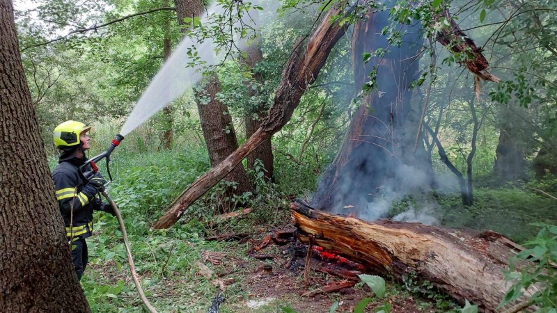 foto zdroj Pardubický kraj
