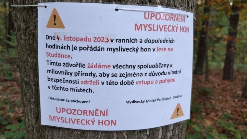 Zítra ráno se vydejte na procházku mimo Studánecký les, myslivci tu pořádají hon