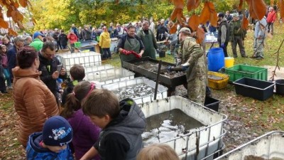 Kupte si tu nejčerstvější rybu přímo na hrázi. Chystá se výlov Svitavského rybníka