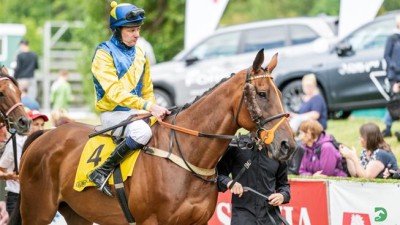 Vizitky a startovní čísla: Tito koně a žokejové se postaví na start 135. Velké pardubické se Slavia pojišťovnou
