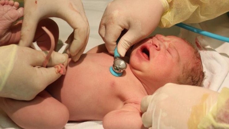 ilustračn&iacute; foto 