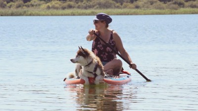 Test paddleboardů ukázal, že cena nemusí být rozhodující. Dobrý koupíte i v Lidlu