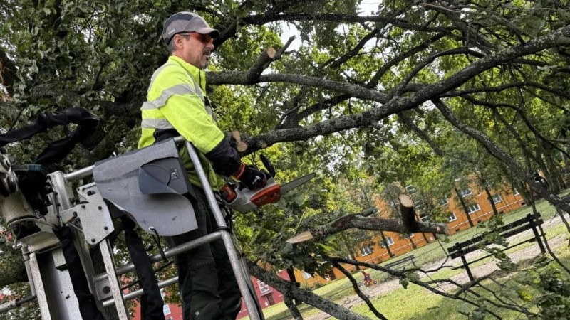 ilustračn&iacute; foto e-den&iacute;ky