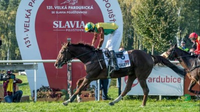 131. ročník Velké pardubické se Slavia pojišťovnou vyhrál ryzák Talent v sedle s žokejem Pavlem Složilem