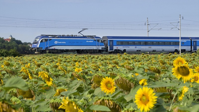 S Jízdenkou na léto můžete vlaky ČD procestovat celou republiku. Zdroj: Archiv ČD
