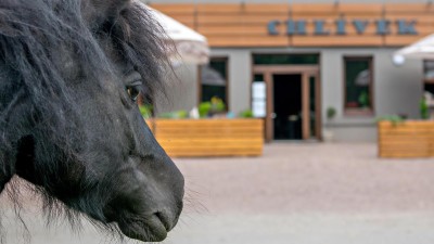 Oslavte Den Země na farmě Apolenka swapováním