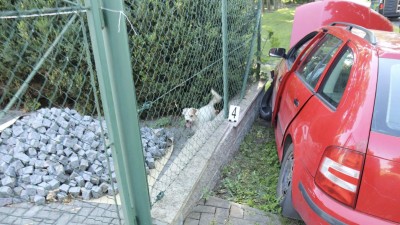 Muž vzal cizí auto a boural. Na téhle vyjížďce nebylo nic dobře