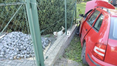 Muž vzal cizí auto a boural. Na téhle vyjížďce nebylo nic dobře