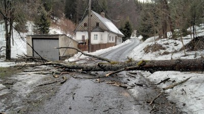 Výstraha meteorologů: Bude foukat vítr až 70 km/h, zabezpečte si své věci, hrozí pád stromů