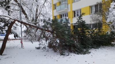 Pozor na padající větve, nemusejí nánosy sněhu vydržet. Strážníci a hasiči je raději v Pardubicích prořezávají