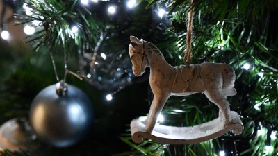 Vánoční strom přijede do Pardubic ve čtvrtek a stále nemá své jméno