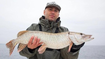 Rybáři mají poslední hodiny na lov štiky nebo sumce. Od 1. ledna totiž opět začíná doba hájení dravců