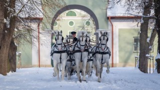 foto: Národní hřebčín Kladruby nad Labem