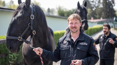 Městská policie Pardubice přivedla do stájí dva nové koně