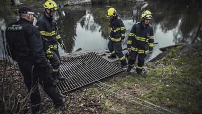 Strážníci a hasiči vysvobodili bobra v Pardubicích, uvízl za mříží