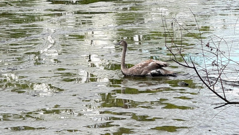 foto HZS Pardubický kraj