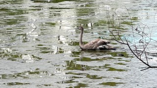 foto HZS Pardubický kraj