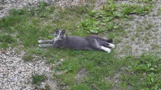 ilustrační foto zdroj e-deníky