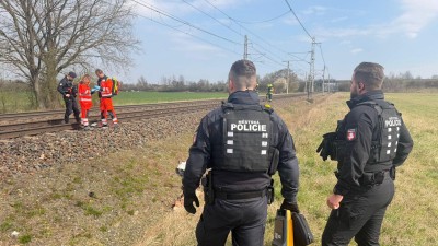 foto zdroj Městsk&aacute; policie Pardubice