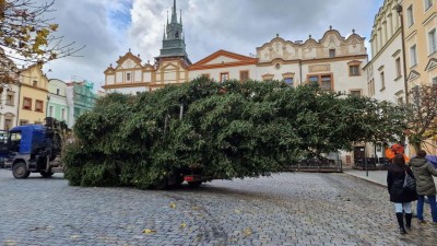 Obrazem: Povídejte se na cestu vánočního stromu na Pernštýnské náměstí