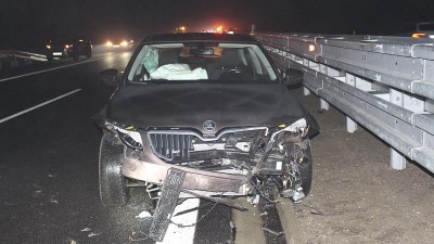 FOTO: Srážka se sedmi prasaty na dálnici! Řidič i pasažér skončili v nemocnici