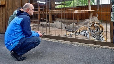 Tip na výlet: Ve Chvojenci vás čeká rodinný park plný lvů, tygrů a levhartů