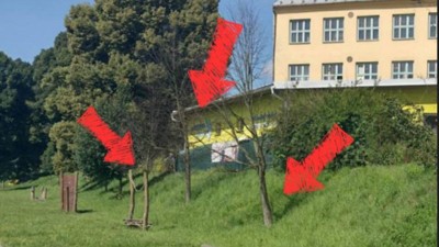V Moravské Třebové řádí ničitel stromů. Má na svědomí již přes desítku topolů a  v tomto týdnu navíc čtyři mladé lípy