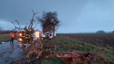 Silný vítr, déšť i brzká tma komplikují dopravní situaci - na vozovku padaly stromy a počet nehod roste