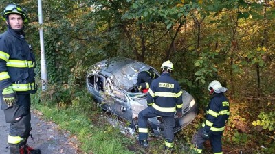 Auto skončilo v příkopu, ženu i jejího psa pokryla převážená barva