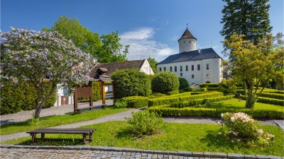 Hrad Rychmburk o víkendu oslaví 700 let od první písemné zmínky