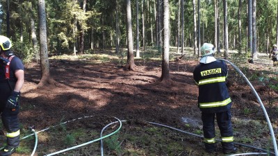 Horká neděle dává hasičům zabrat. Ve spalujícím vedru museli likvidovat už pět požárů porostů  