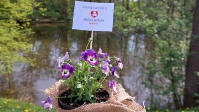 Ulovte si svou květinku pro radost od Turistického informačního centra Pardubice