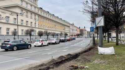 Keře na Smetanově náměstí v Pardubicích musely být pokáceny, tady je důvod