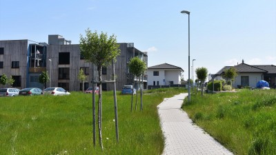 V Poličce vysadí v parku Bezručova přes 2000 rostlin