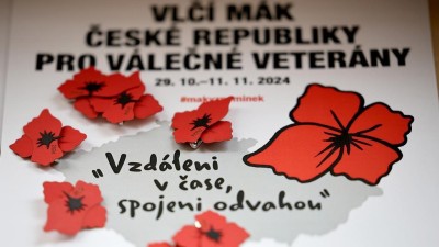 Pořiďte si od dnešního dne na klopu vlčí mák - jako připomínku na válečné veterány