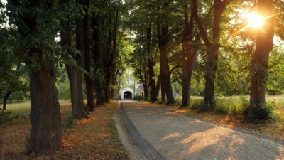 Lidé hlasují o nejkrásnější alej v Česku v anketě  Alej roku