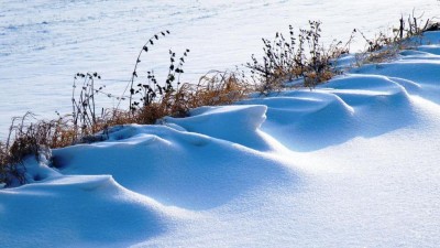 Kromě dalšího snežení bude dnes foukat i silný vítr s nárazy kolem 70 km/h. V polohách nad 600 metrů se budou tvořit sněhové jazyky