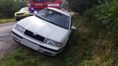 Řidička si stáhla okénko. Bodl ji hmyz a její auto skončilo v příkopu