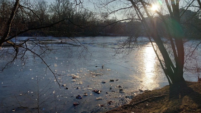 foto zdroj Městsk&aacute; policie Pardubice