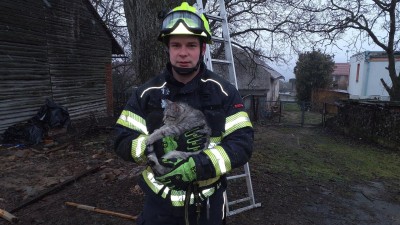 Nahoru to kočce &scaron;lo, ale dolů sl&eacute;zt sama nedok&aacute;zala
