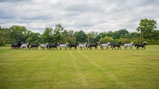 foto zdroj nhkladruby.cz