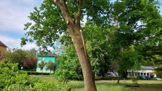 foto HZS Pardubický kraj