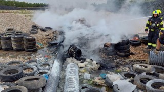 Kočka vlezla do motoru, strom ohrožoval dopravu, chytla skládka odpadu